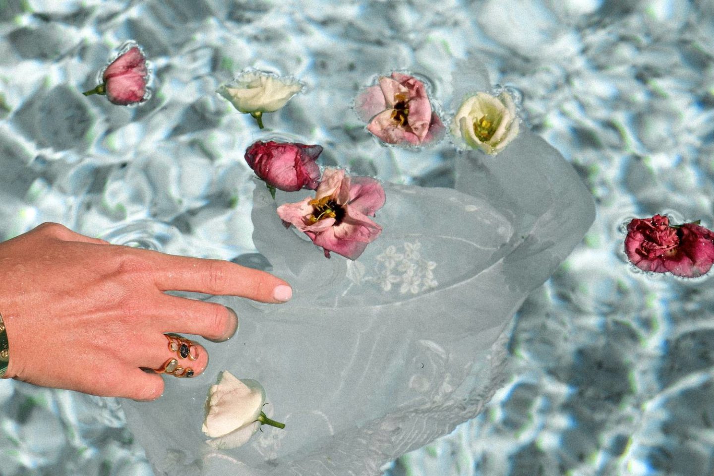 Flower petals in water