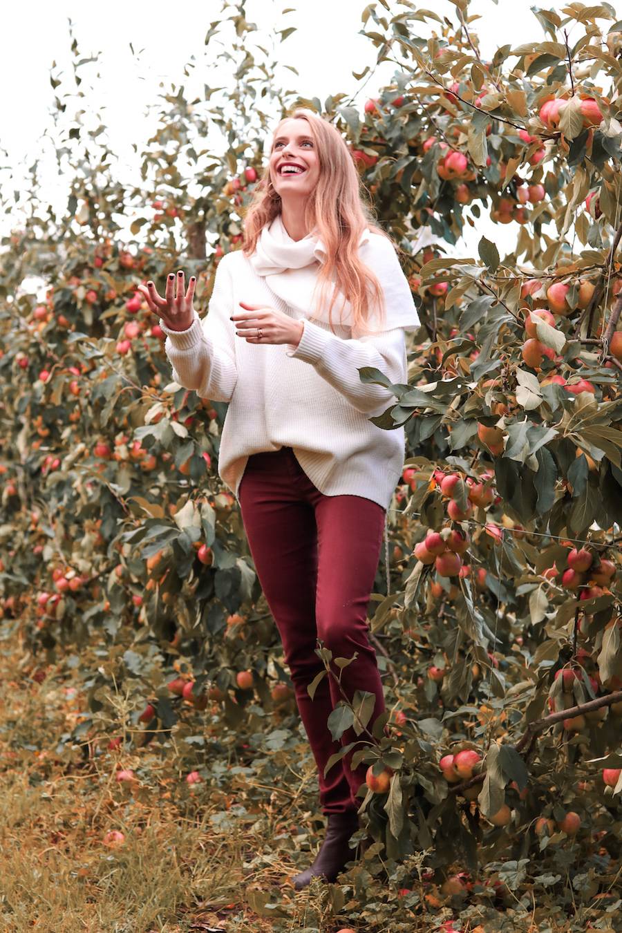 Apple Picking